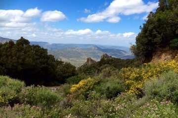 Mountain view
