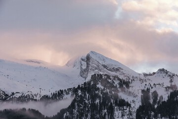 Hiking