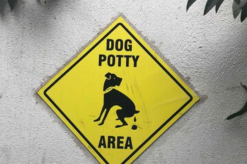 Pet-friendly