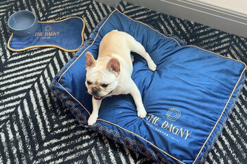 Pet-friendly amenities