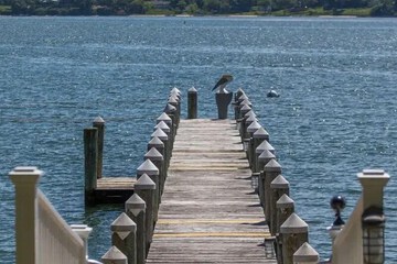 Dock