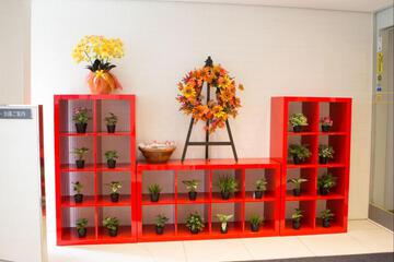 Photo 21