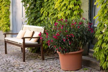 Courtyard