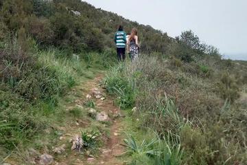 Photo 48