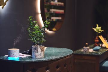Spa reception