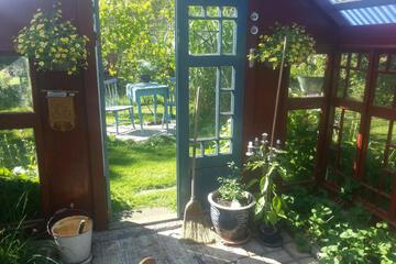 Photo 28