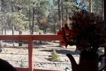Guestroom View