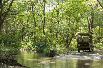 Game drive