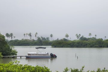 Lake view