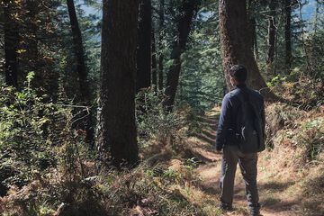 Hiking