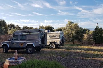 Safari