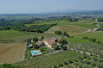 Vineyard