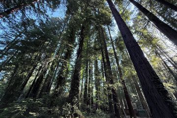 Land view from property