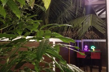 Birthday Party Area