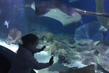 Children's activities