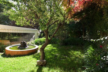 Outdoor banquet area