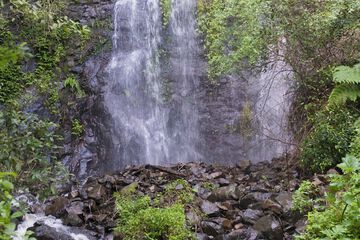 Hiking