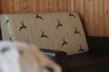 guest_rooms
