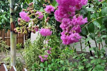 Photo 33