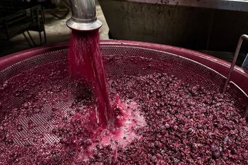 Winery