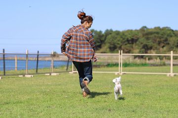 Pet-friendly amenities