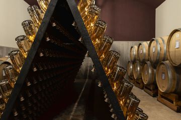 Winery