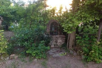 Photo 57
