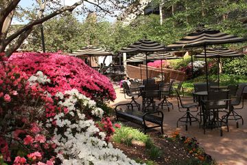 Property Grounds 51 of 52