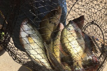 Fishing