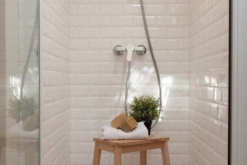 Bathroom shower
