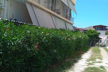 Photo 51