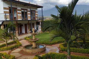View from room