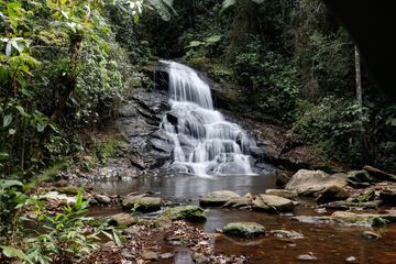 Ecotours