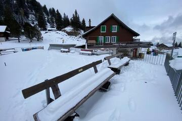 Snowshoeing