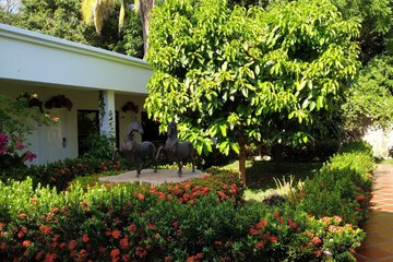 Garden view
