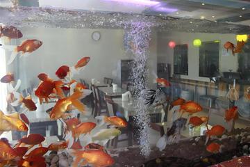 Photo 21