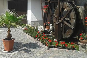 Photo 38