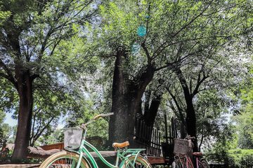 Bicycling