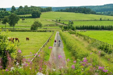 Bicycling