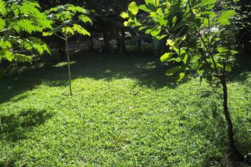 Photo 70