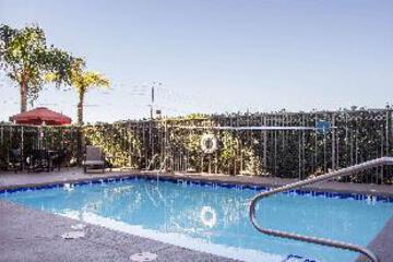 Swimming pool [outdoor]