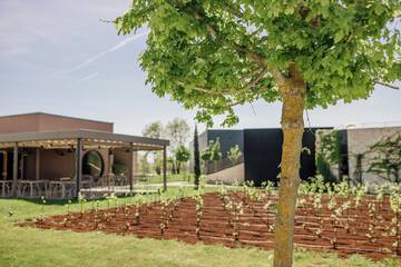 Tasting room