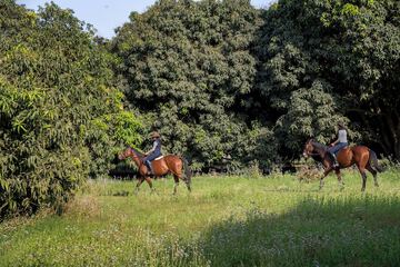 Horseback riding