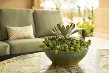 Terrace/Patio 102 of 143