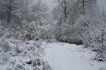 Photo 24