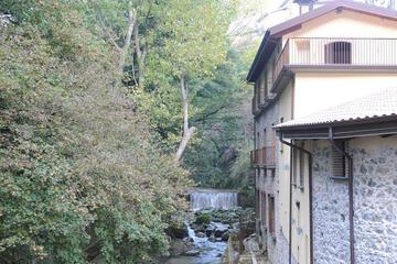 Photo 48
