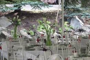 Outdoor Banquet Area