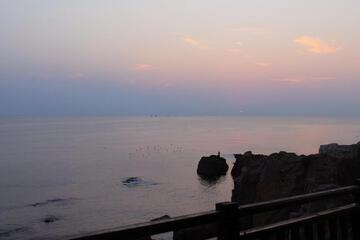 Photo 50