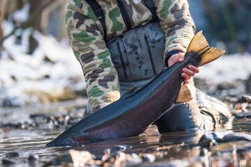 Outdoor Activities 215 of 215