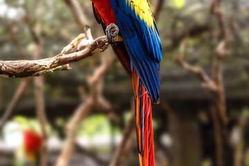 Ecotours